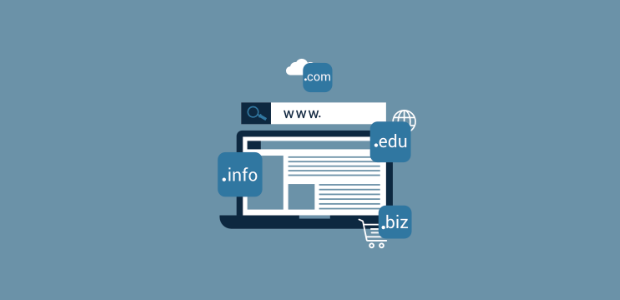 Domain into IP checker tools